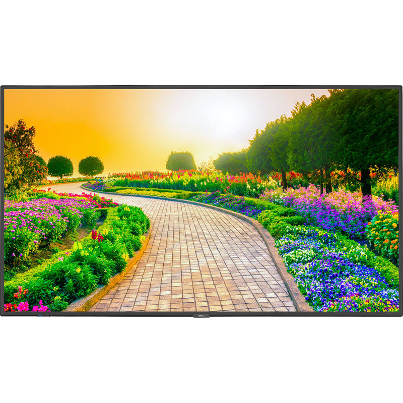 Sharp M Series 43" 4K Commercial Display with SoC Media Player and Anonymous Age and Gender Software