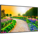 Sharp M Series 43" 4K Commercial Display with SoC Media Player and Anonymous Age and Gender Software