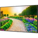 Sharp M Series 43" 4K Commercial Display with SoC Media Player and Anonymous Age and Gender Software