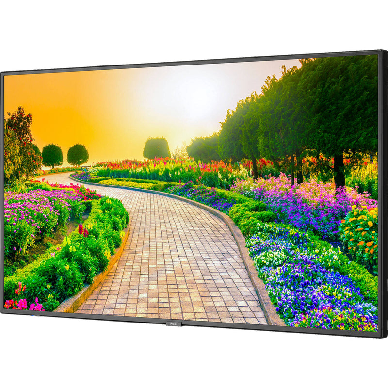 Sharp M Series 43" 4K Commercial Display with SoC Media Player and Anonymous Age and Gender Software