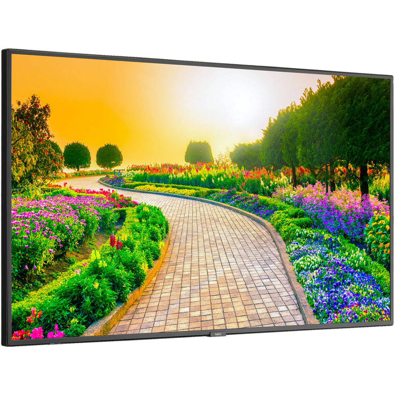 Sharp M Series 43" 4K Commercial Display with SoC Media Player and Anonymous Traffic Software