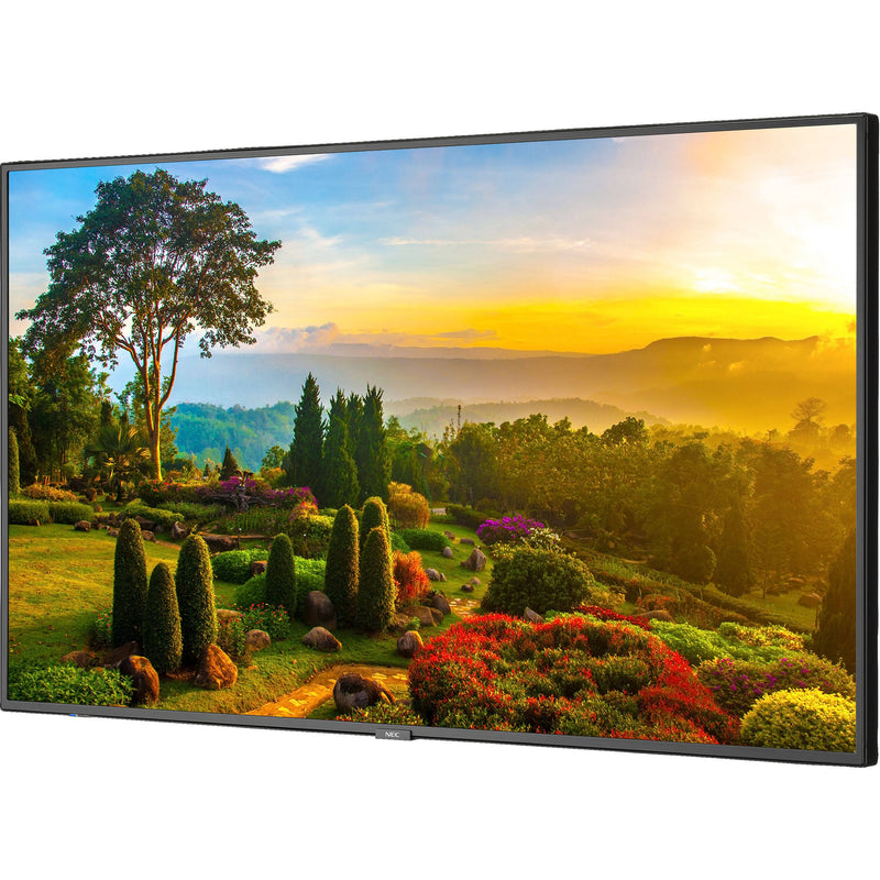 Sharp M Series 55" 4K Commercial Display with SoC Media Player and Anonymous Age and Gender Software