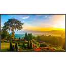 Sharp M Series 55" 4K Commercial Display with SoC Media Player and Anonymous Age and Gender Software