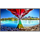 Sharp ME Series 55" 4K Commercial Display with SoC Media Player and Anonymous Age and Gender Software