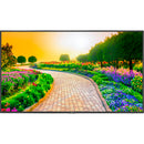 Sharp M Series 43" 4K Commercial IR Touchscreen