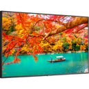 Sharp MA Series 43" 4K Commercial IR Touchscreen