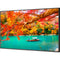 Sharp MA Series 43" 4K Commercial PCAP Touchscreen