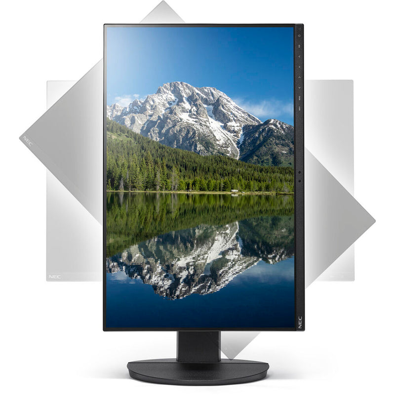 Sharp EA242WU 24" Monitor