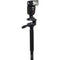 National Geographic Photo 3-in-1 Monopod