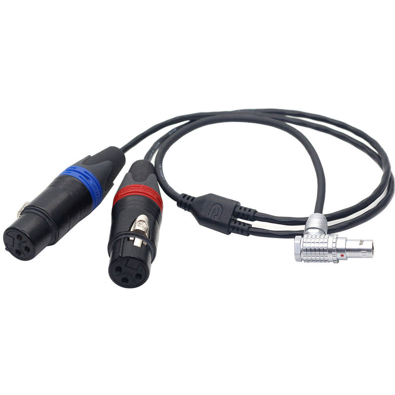 DigitalFoto Solution Limited 6-Pin LF to Dual 3-Pin XLR-F Binaural Audio Cable for ARRI ALEXA Mini (1.6')