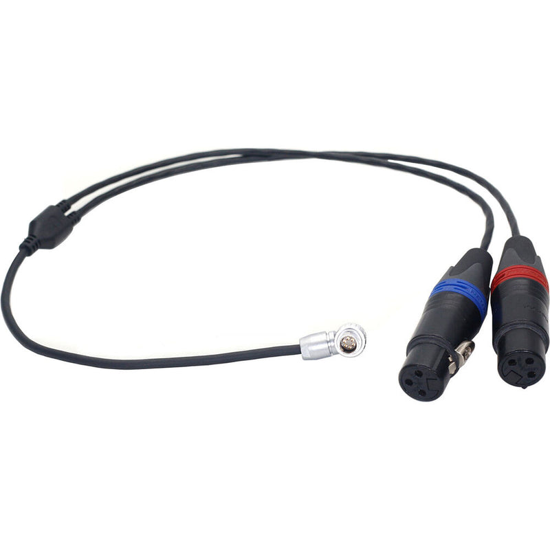 DigitalFoto Solution Limited 6-Pin LF to Dual 3-Pin XLR-F Binaural Audio Cable for ARRI ALEXA Mini (1.6')