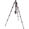 3 Legged Thing Legends Ray Carbon Fiber Tripod with AirHed Vu Ball Head Set (Matte Black)