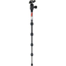 3 Legged Thing Legends Ray Carbon Fiber Tripod with AirHed Vu Ball Head Set (Matte Black)