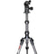 3 Legged Thing Legends Ray Carbon Fiber Tripod with AirHed Vu Ball Head Set (Matte Black)