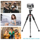 Neewer M521 Desktop Mini Tripod with Arca-Type Ball Head (19.7")