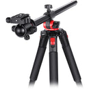 Neewer 2-in-1 Tripod/Monopod (72.4")