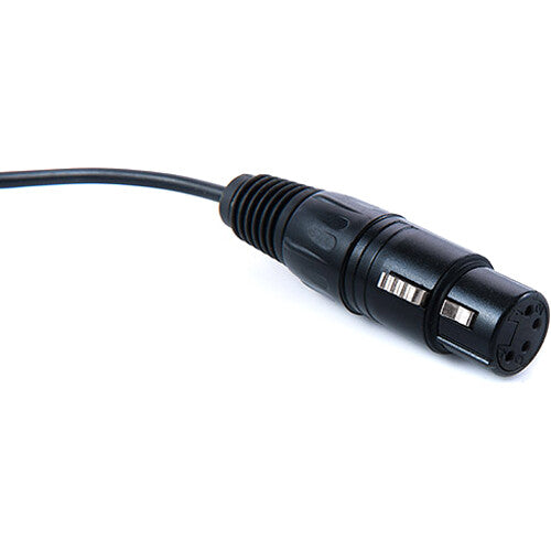 DigitalFoto Solution Limited D-Tap to 4-Pin XLR Female Power Cable (1.7')