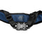 Silence Corner pi Strap Sport Camera Strap (Polar Blue)