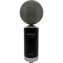 Pinnacle Microphones FAT Top II Ribbon Microphones (Pair, Black Body and Silver Grille, Lundahl LL2913 Transformer)