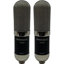 Pinnacle Microphones Vin-Jet Long-Ribbon Microphone with Stock Transformer (Stereo Pair)