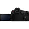 Panasonic Lumix S5 II Mirrorless Camera with 20-60mm Lens