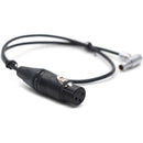 DigitalFoto Solution Limited Right-Angle 6-Pin Male LEMO to 3-Pin Female XLR Audio Cable for ARRI ALEXA Mini LF (2')