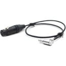 DigitalFoto Solution Limited Right-Angle 6-Pin Male LEMO to 3-Pin Female XLR Audio Cable for ARRI ALEXA Mini LF (2')