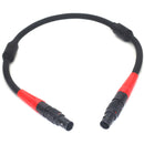 DigitalFoto Solution Limited 4-Pin LEMO LBUS Cable for ARRI WCU-4 (11.8")