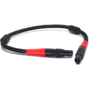 DigitalFoto Solution Limited 4-Pin LEMO LBUS Cable for ARRI WCU-4 (11.8")