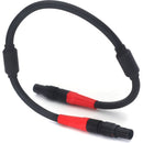 DigitalFoto Solution Limited 4-Pin LEMO LBUS Cable for ARRI WCU-4 (11.8")