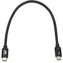 OWC Thunderbolt 4 USB Type-C Male Cable (11.8")