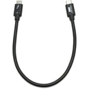 OWC Thunderbolt 4 USB Type-C Male Cable (11.8")