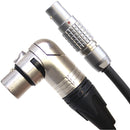 Hawk-Woods 6-Pin LEMO Male to 4-Pin XLR Female Right-Angle Power Cable for Ronin 2 (11.8")