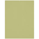 Westcott Wrinkle-Resistant Backdrop (Light Moss Green, 5 x 7')