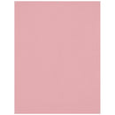 Westcott Wrinkle-Resistant Backdrop (Blush Pink, 5 x 7')