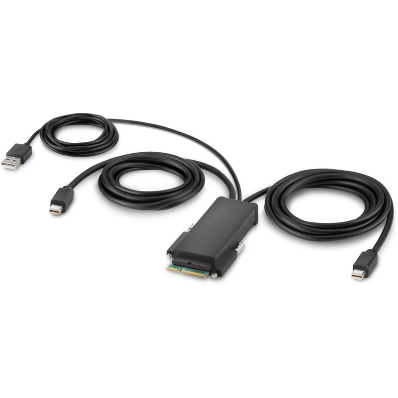 Belkin Modular Mini DisplayPort Dual Head Host Cable (TAA Compliant, 6')