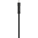 Belkin Standard HDMI Cable (6')