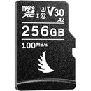 Angelbird 256GB AV PRO UHS-I microSDXC Memory Card with SD Adapter