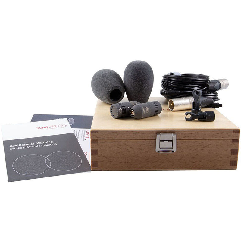 Schoeps Colette CMC 1 L Microphone Amplifiers and MK 4V Cardioid, Side-Addressed Capsules Stereo Set (Matte Gray)