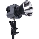 amaran COB 60d S Daylight LED Monolight