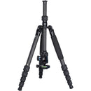 Sirui T-1205 Carbon Fiber Travel Tripod with K-10 II Ball Head