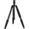 Sirui T-1205 Carbon Fiber Travel Tripod with E-10 Ball Head