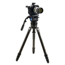 Benro Mammoth Tripod 75mm to 100mm Half-Ball Adapter