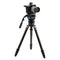 Benro Mammoth Tripod 75mm to 100mm Half-Ball Adapter