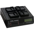 Dolgin Engineering TC400 Fast Four-Position Battery Charger for Panasonic DMW-BLK22 Batteries