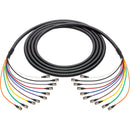 Laird Digital Cinema 23 AWG Thin Profile 3G/HD-SDI 10-Channel BNC Snake Cable (10')