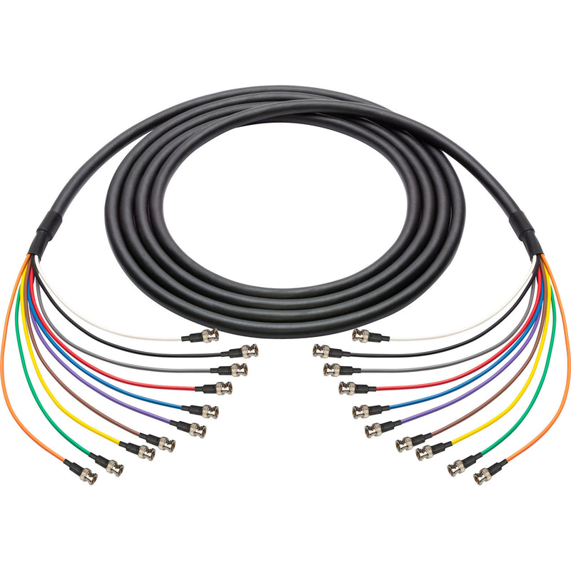 Laird Digital Cinema BNC-10SNK 3G/HD-SDI 10-Channel Thin-Profile Snake Cable (25')