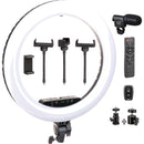 Sunpak Premium Series Bi-Color Ring Light Kit with BOYA Microphone (18")