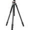 Vanguard VEO3+303CT Carbon Fiber Tripod Leg Set