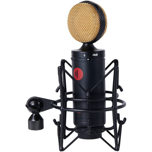 Direct Sound DS-60 Grenade Large-Diaphragm Condenser Microphone (Black)